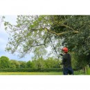 Élagueuse sur perche 36V MAX POWER - Solo - RY36PP25A - Bricozor 8.jpg RYOBI