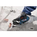 gop-bosch-06018B0000.jpg BOSCH