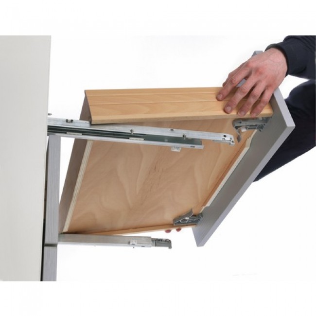 I284600_2.jpg SALICE