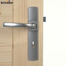 57_2023_06_08_VACHETTE_MUZE_CHROME_VELOURS_228760_00004bricozor.jpg VACHETTE