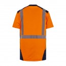 pm_11812_567_567905-47wy5cm9gd-whr.jpg T2S