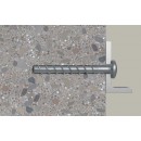 pm_11812_482_482760-ayvtoikyji-whr.jpg FISCHER