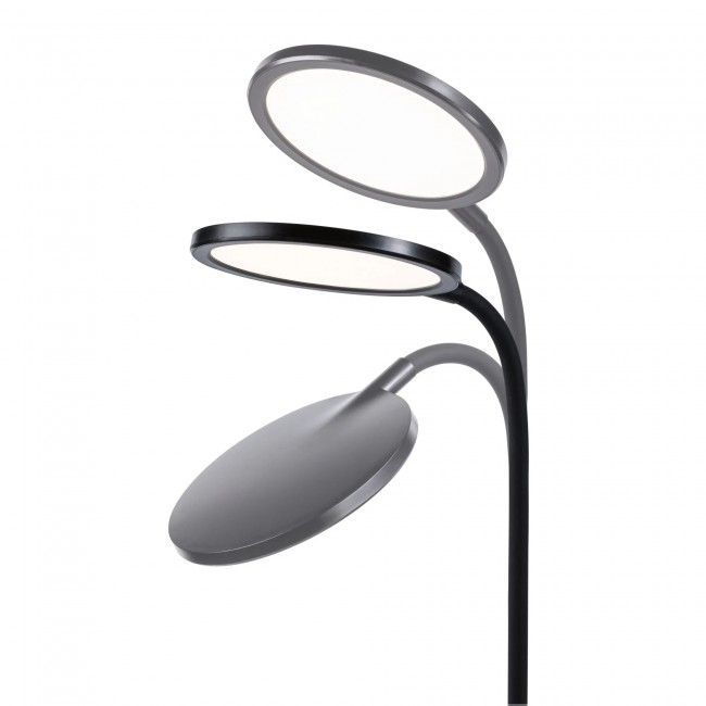 78017mo01.jpg PAULMANN