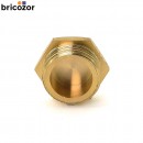 67ed4e6465a9a.jpg BRICOZOR