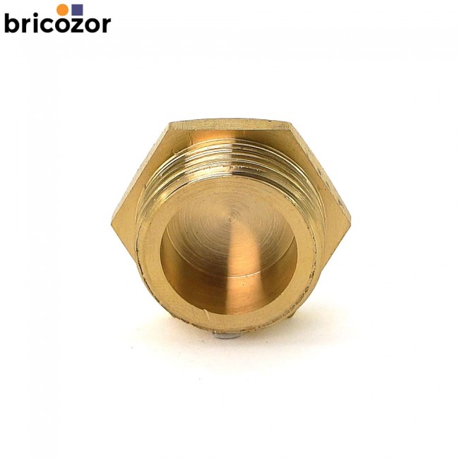 67ed4e6465a9a.jpg BRICOZOR