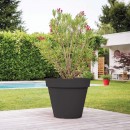 3086960216405.jpg EDA PLASTIQUES