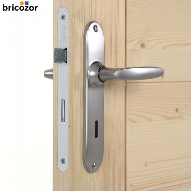 47_2023_06_07_VACHETTE_JAZZ_CHROME_VELOURS_496999_00001_BRICOZOR.jpg VACHETTE