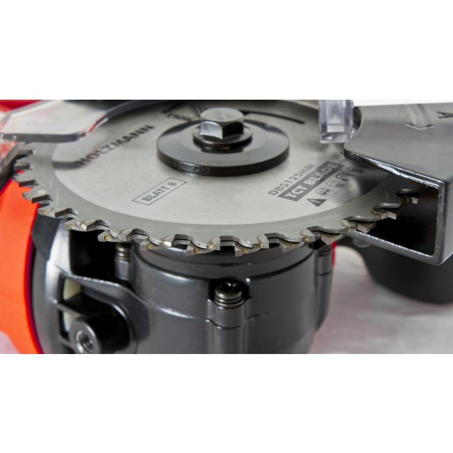 DBS 125 - 2.jpg HOLZMANN