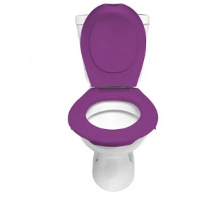 Lunette et abattant WC clipsable - Violet PAPADO