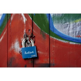 Cadenas à clé - T65AL MyLock - couleur - boîtier en aluminium 30 mm ABUS