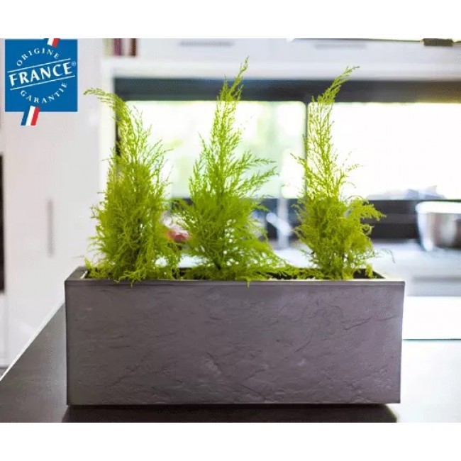 balconnieresvolcaniaup-64f1f78bca784_1920_1276.jpeg EDA PLASTIQUES