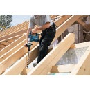 SchlangenbohrerNEU-000297 (11).jpg BOSCH