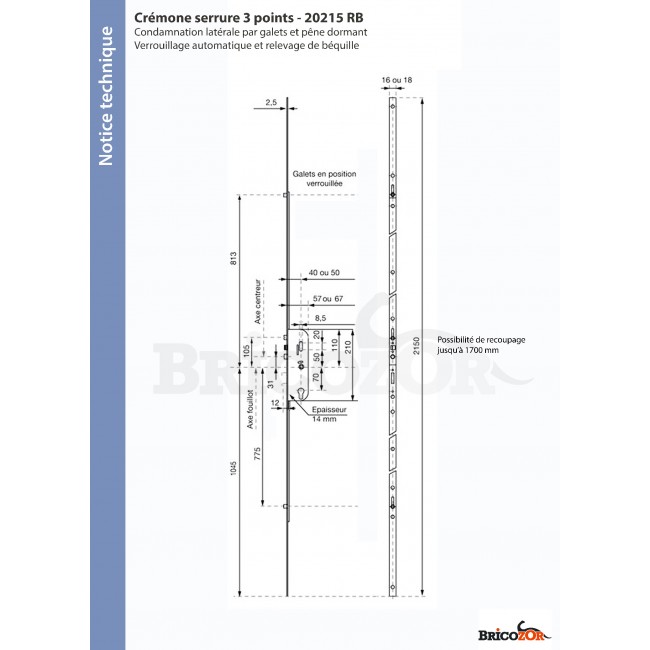 20215-RB.jpg VACHETTE