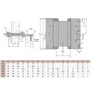 schema-double.jpg GROOM