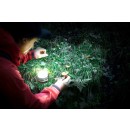 lampe_1171540_extérieur_bricozor.jpeg BRENNENSTUHL