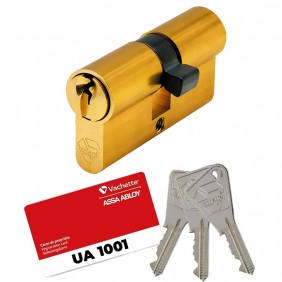 Cylindre double V5 7100 s'entrouvrant sur variure UA 1001 - laiton poli VACHETTE
