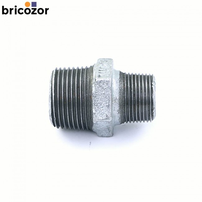 1_C3_Z15072_00000.jpg CODITAL