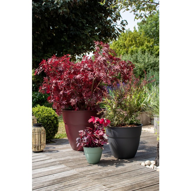 OSAKA Ambiance (2).jpg EDA PLASTIQUES