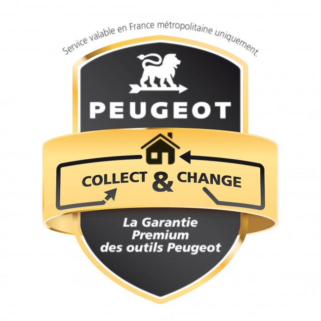 650351-dt-41.jpg PEUGEOT