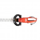 taille haie 6.jpeg YVAN BÉAL