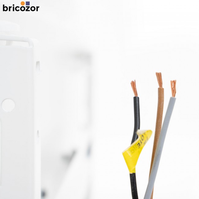 PRISE_DE_VISUELS (0-00-26-18).jpg Noirot