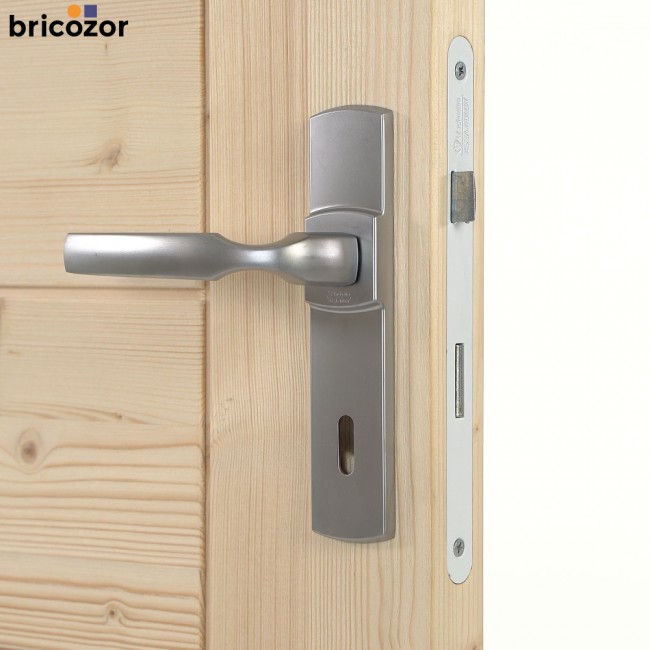 2023_05_31_VACHETTE_ARTIS_CHROME_VELOURS_4_00003_BRICOZOR.jpg VACHETTE