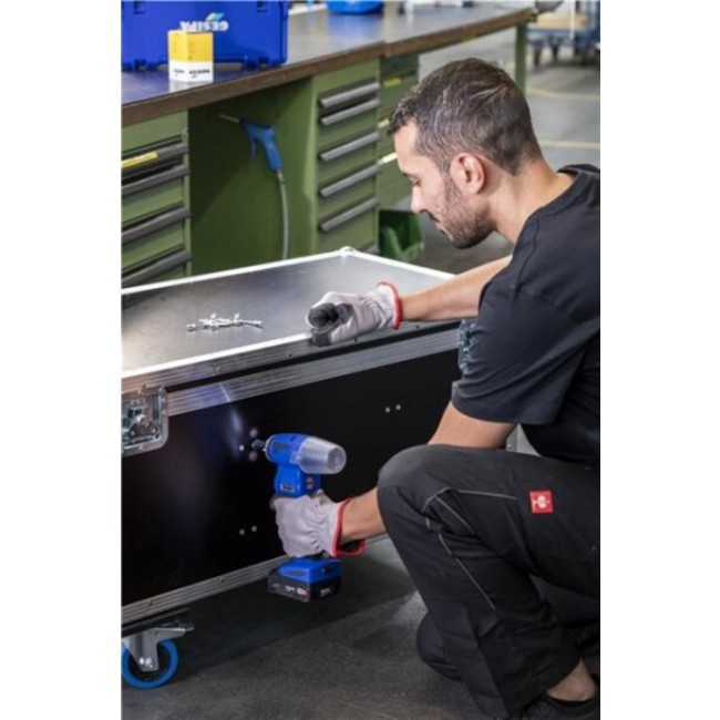 csm_Birdie_ap_dc59a2b2b3.jpg GESIPA