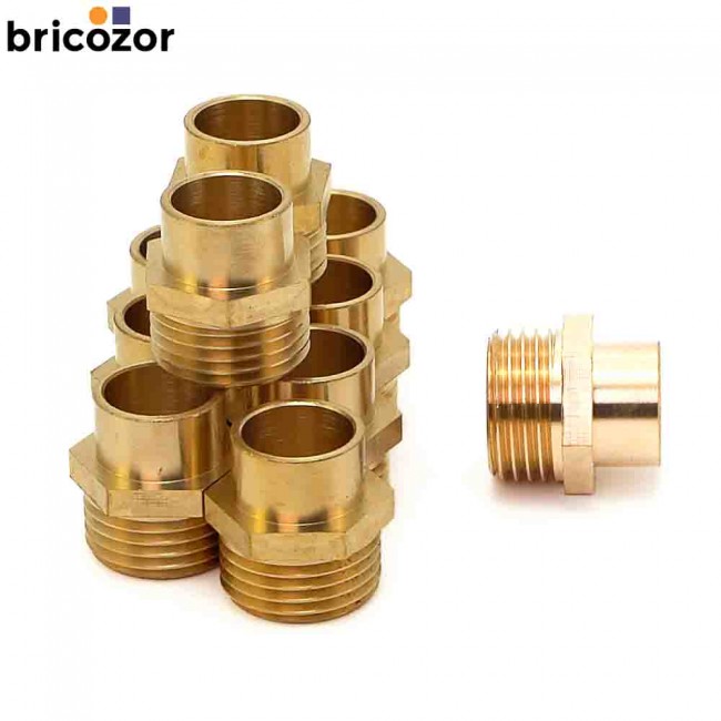 1_F3_732160_00000.jpg BRICOZOR