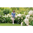 Coupe-bordures sans fil 18V-230 - EasyGrassCut - Bricozor 7.jpeg BOSCH