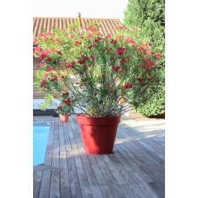 Pot rond - diamètre 80 cm - 170 litres - Toscane 13623 EDA PLASTIQUES
