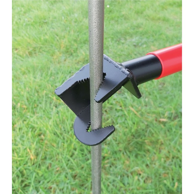 pm_11812_429_429172-bijnebxlum-whr.jpg TALIAPLAST