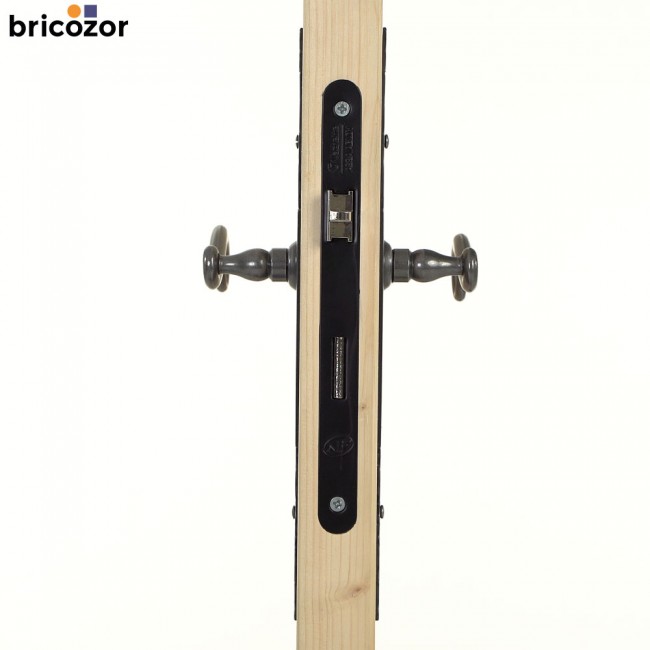 99_2023_06_19_BOUVET_AQUITAINE_FER_PATINE_CEMENTE_302868_00002_BRICOZOR.jpg BOUVET