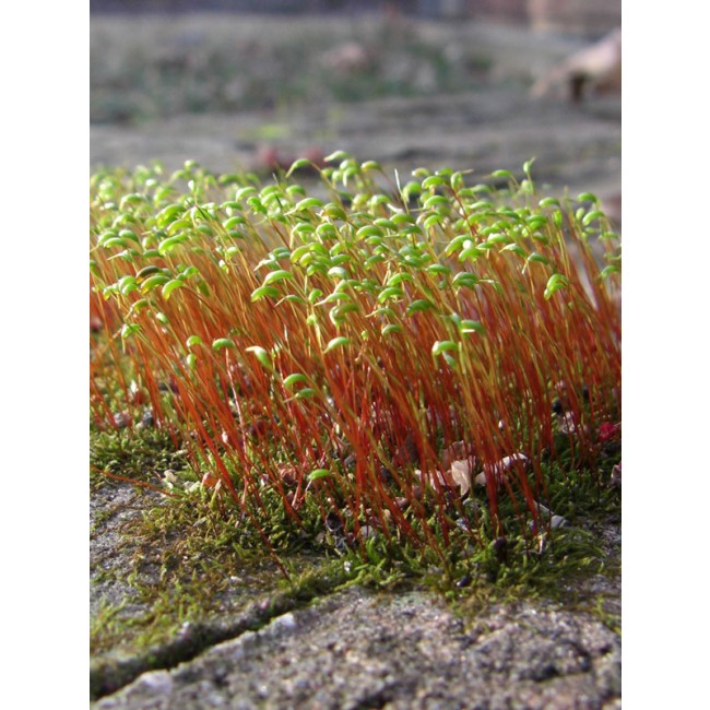 galerie_180_dalep-tt.jpg DALEP