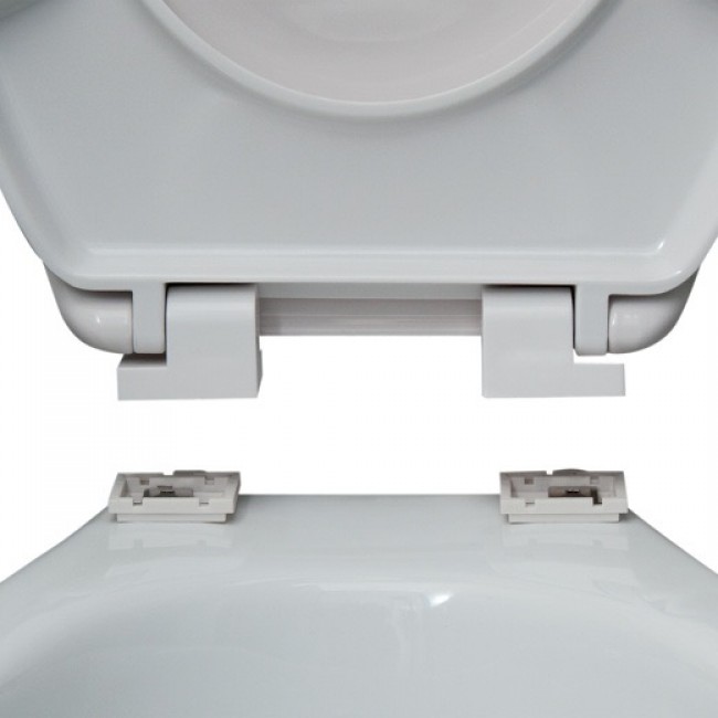 20180710213715-f59ce625-cu_e520.jpeg MSV