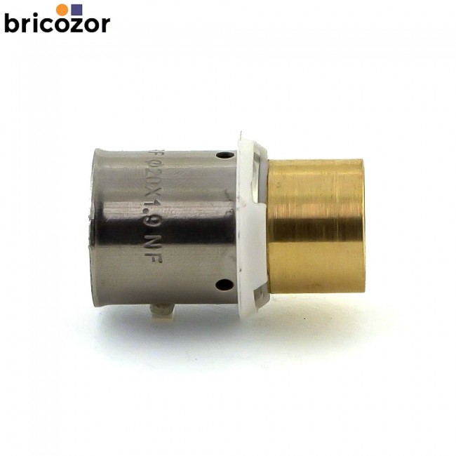 3_A1_144964_00187.jpg BRICOZOR