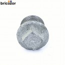 2_F1_Z15032_00093.jpg CODITAL