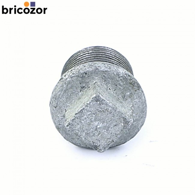 2_F1_Z15032_00093.jpg CODITAL