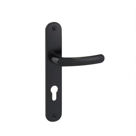 Ensemble sur grandes plaques entraxe 195 mm Budget - Onyx noir mat - clé I VACHETTE ASSA ABLOY