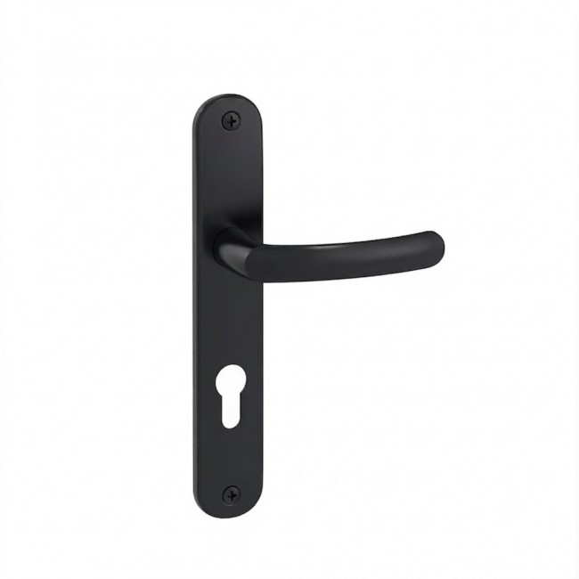 Sans titre.jpg VACHETTE ASSA ABLOY