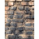 galerie_410_net-1.jpg DALEP