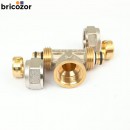 E5_BOUT3177865_C.jpg BOUTTÉ