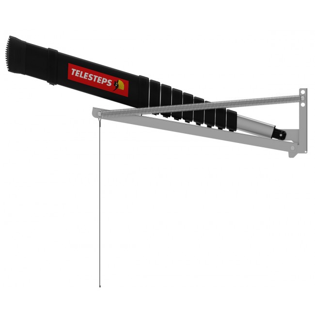 pm_11812_450_450856-5fqukkhgxc-whr.jpg TÉLESTEPS