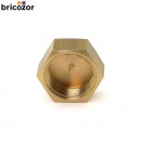 67ed4e648bf57.jpg BRICOZOR