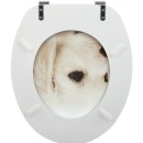 20210507152539-3f1e77f4-cu_e520.jpg MSV