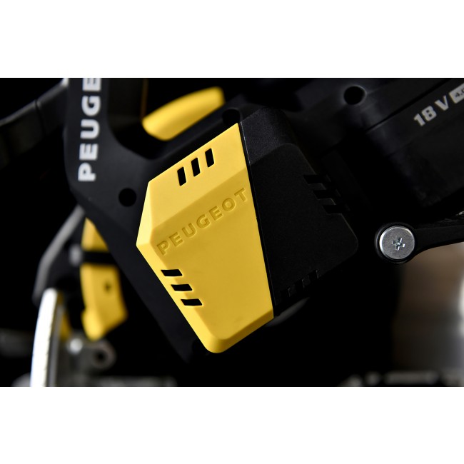 250351-2-dt-13.jpg PEUGEOT