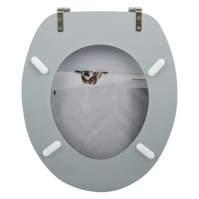 20190430113105-94a2806c-cu_e520.jpg MSV