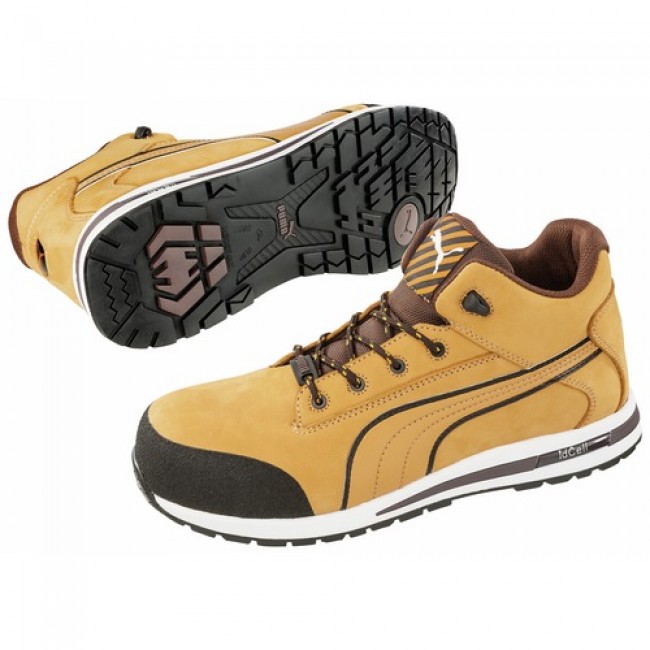 puma dash wheat