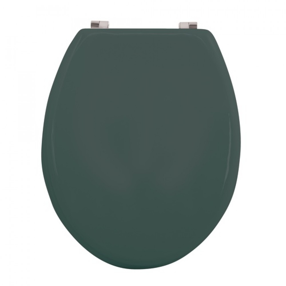 Abattant WC MDF Charnieres Inox CLEO Vert Fonce mat MSV Bricozor