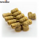 4_E7_732671_00282.jpg BRICOZOR