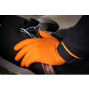 pm_11812_491_491238-1v6fugsexu-whr.jpg Herkul